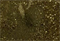 Блеск Аврора точка (0,4мм), золото - фото 126091