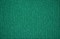 Покрытие ковровое ТЕХНОЛАЙН ФлорТ Экспо 2,0м плотность 450/100% ПП/цвет зеленый 06017 (50) - фото 127363