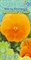 Семена ИНВЕНТ ПЛЮС Виола Виттрока Оранжевое солнце - фото 128729