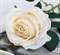 Цветок искусственный Роза Летисия 7*64см белый 4738212 - фото 131603