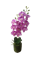 Цветок искусственный ОРХИДЕЯ в горшке 40см, в ассортименте PL4000120 - фото 131663