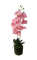 Цветок искусственный ОРХИДЕЯ в горшке 40см, в ассортименте PL4000120 - фото 131664