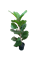 Растение искусственное в горшке, в ассортименте 317221050 - фото 131811