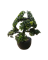 Растение искусственное Бонсай в горшке 31см 317002760 - фото 131900