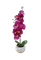 Растение искусственное Орхидея в горшке 8*39см 317353840 - фото 131904