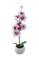 Растение искусственное Орхидея в горшке 8*39см 317353840 - фото 131905