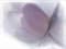 Декор ALMA CERAMICA Lila на белом фиолет 249*364*7,5 DWU07LIL003 - фото 21632