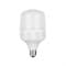 Лампа светодиодная SIRIUS LED Power T100 30W 6000/6500K E27 - фото 27668