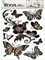 Элемент декоративный ROOM DECOR Бабочки с цветами PLA 0911 - фото 39124