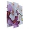 Картина модульная Краповая орхидея! 2шт-25*52см, 1шт-30*60см, 60*80см 3981588 - фото 58251