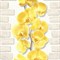 Обои АСПЕКТ РУ Орхидея декор 10107-23 0,53*10,05м (1упак-12рул) - фото 69069