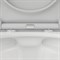 Унитаз DAMIXA Skyline подвесной, безободковый, с сиденьем микролифт DX35C1700SC - фото 75269