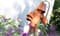 Горшок цветочный GLINKA терракотовый DGA19-R624 - фото 9343