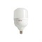 Лампа светодиодная LED Т(464 Т100 2732) T100 32W 6400K E27 220V - фото 95086