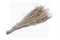 Веник травяной для бани из полыни 3969805 - фото 96734