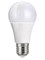 Лампа светодиодная Eurolight ELEC-502-A60-9-3K-E27-FR - фото 96910
